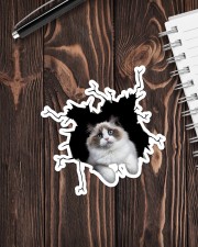 Radoll Sticker - Single (Vertical) aos-sticker-single-vertical-lifestyle-front-05