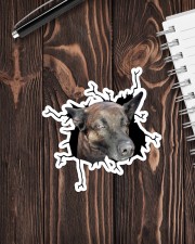 Belgian Malinois 2 Sticker - Single (Vertical) aos-sticker-single-vertical-lifestyle-front-05