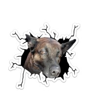 Belgian Malinois 2 Sticker - Single (Vertical) front