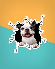 Boston Terriers Crack Sticker - Single (Vertical) aos-sticker-single-vertical-lifestyle-front-02