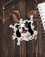Boston Terriers Crack Sticker - Single (Vertical) aos-sticker-single-vertical-lifestyle-front-05