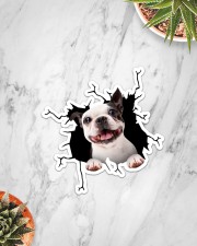 Boston Terriers Crack Sticker - Single (Vertical) aos-sticker-single-vertical-lifestyle-front-06
