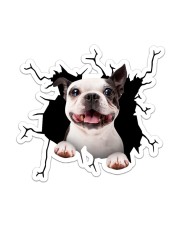 Boston Terriers Crack Sticker - Single (Vertical) front