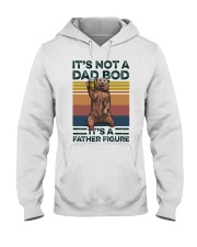 It's not a Dad Bod Hooded Sweatshirt thumbnail