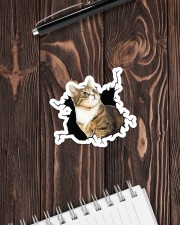 Cat-Crack Sticker - Single (Horizontal) aos-sticker-single-horizontal-lifestyle-front-05
