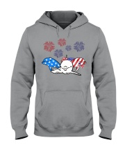 US-Independence-Day Hooded Sweatshirt tile