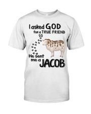 I-asked-God-for-a-true-friend Premium Fit Mens Tee tile