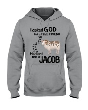I-asked-God-for-a-true-friend Hooded Sweatshirt tile