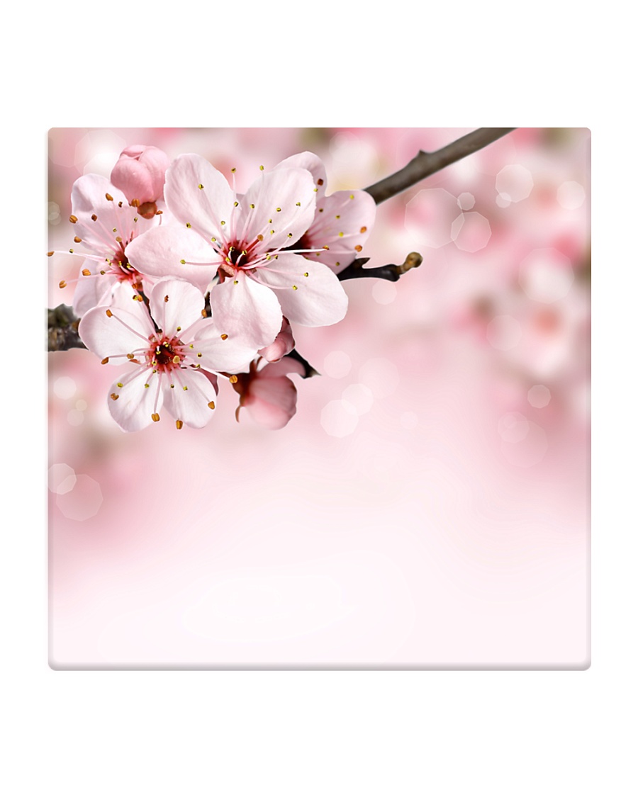 Cherry Bloom Home living Square Coaster