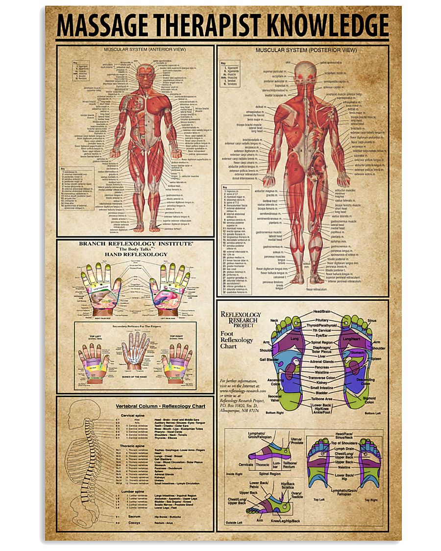 Massage Therapist Knowledge 11x17 Poster