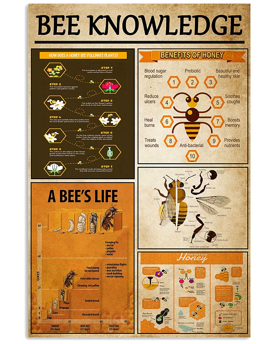 Bee Knowledge 11x17 Poster