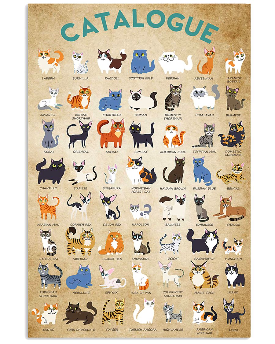Catalogue 11x17 Poster
