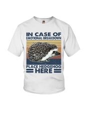 Place Hedgehog Here Youth T-Shirt thumbnail