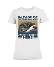 Place Hedgehog Here Premium Fit Ladies Tee thumbnail