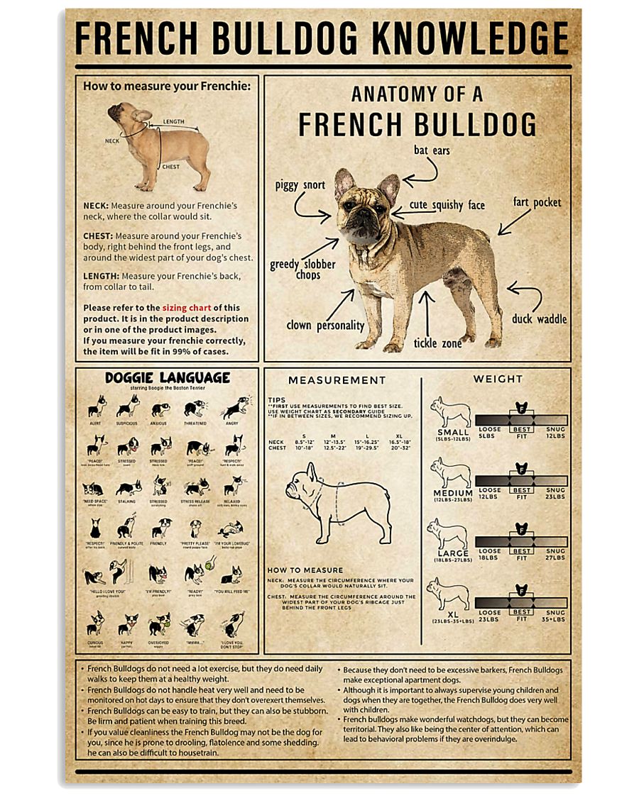 French Bulldog Knowledge 11x17 Poster