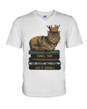 Cat's Lady V-Neck T-Shirt thumbnail