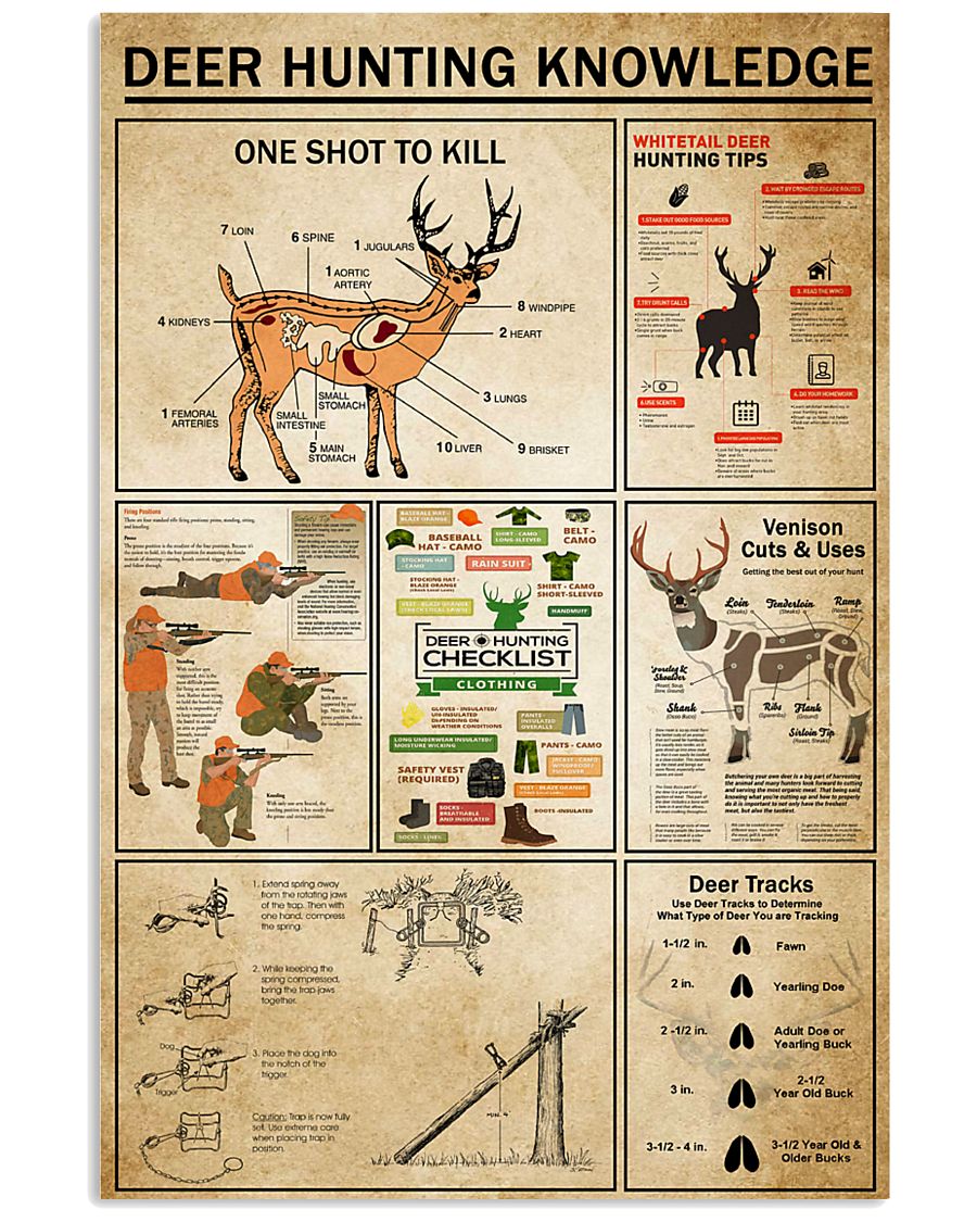 Deer Hunting Knowledge 11x17 Poster