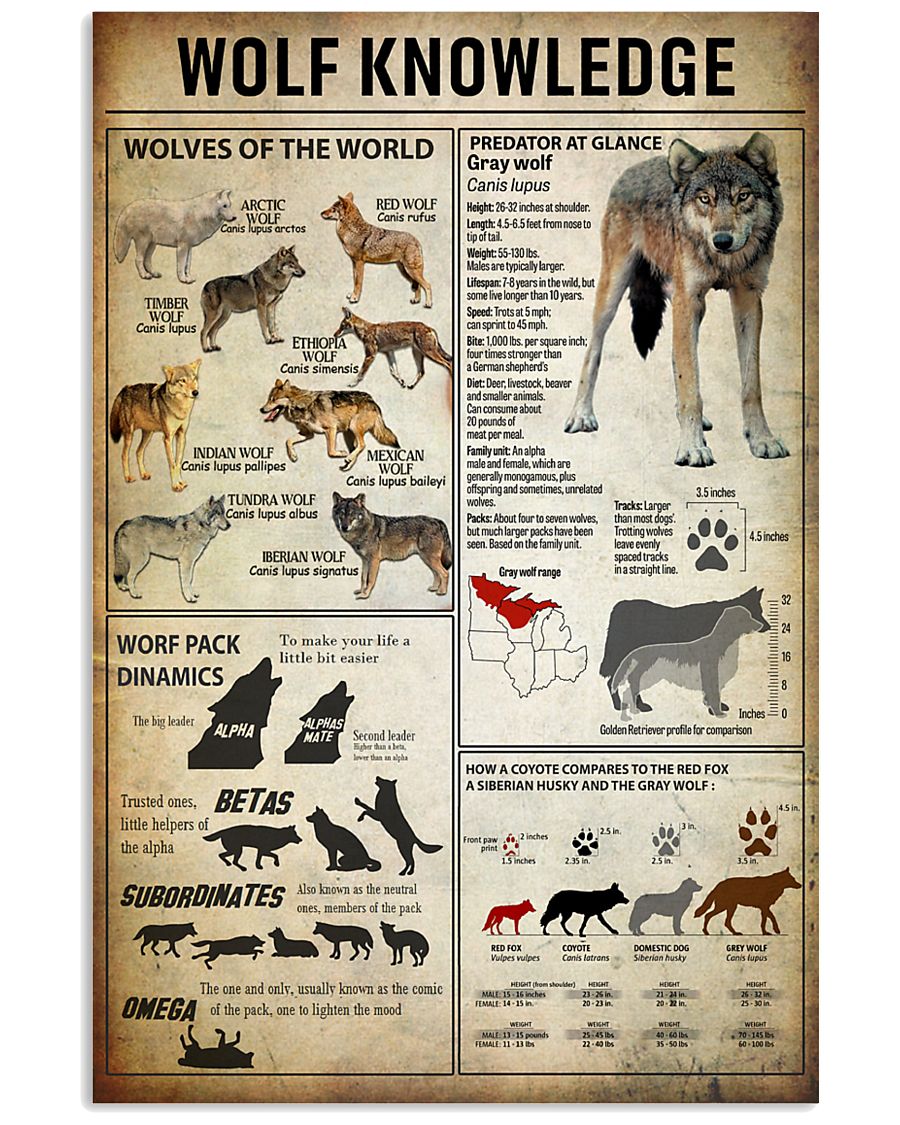 Wolf Knowledge 11x17 Poster