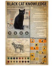 Black Cat Knowledge 11x17 Poster front