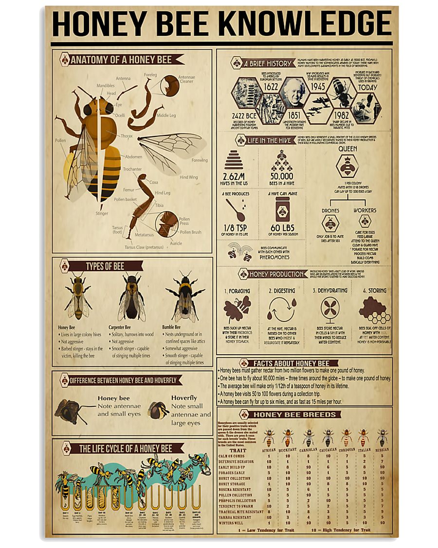 Honey Bee Knowledge 11x17 Poster
