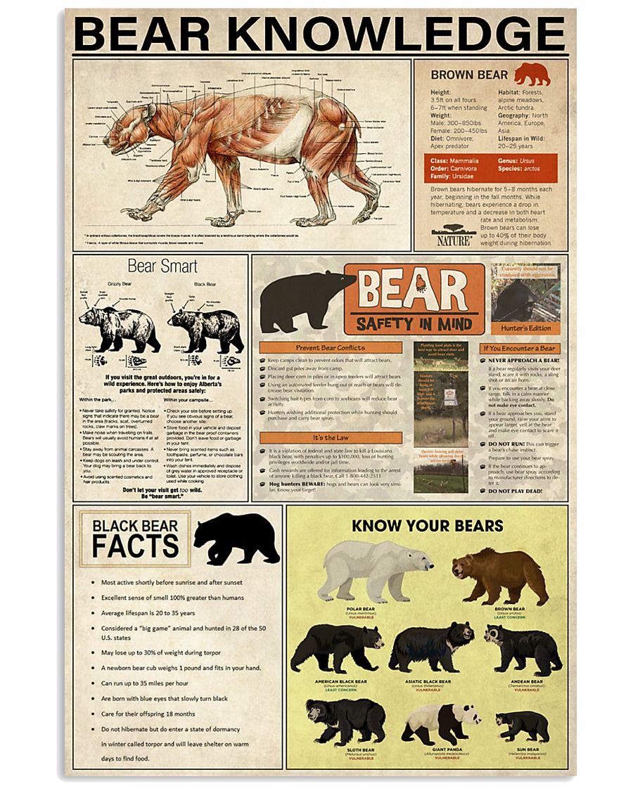 Bear Knowledge 11x17 Poster