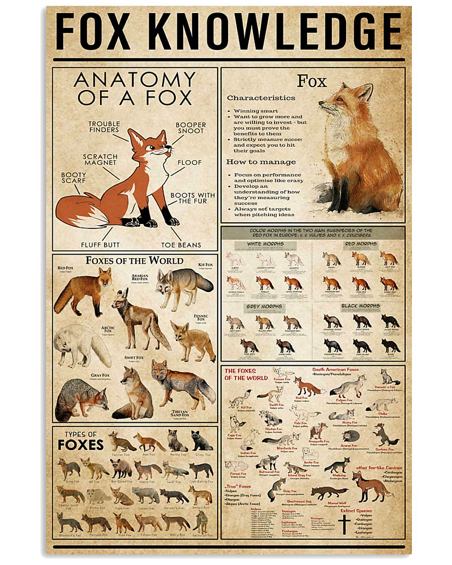 Fox Knowledge 11x17 Poster