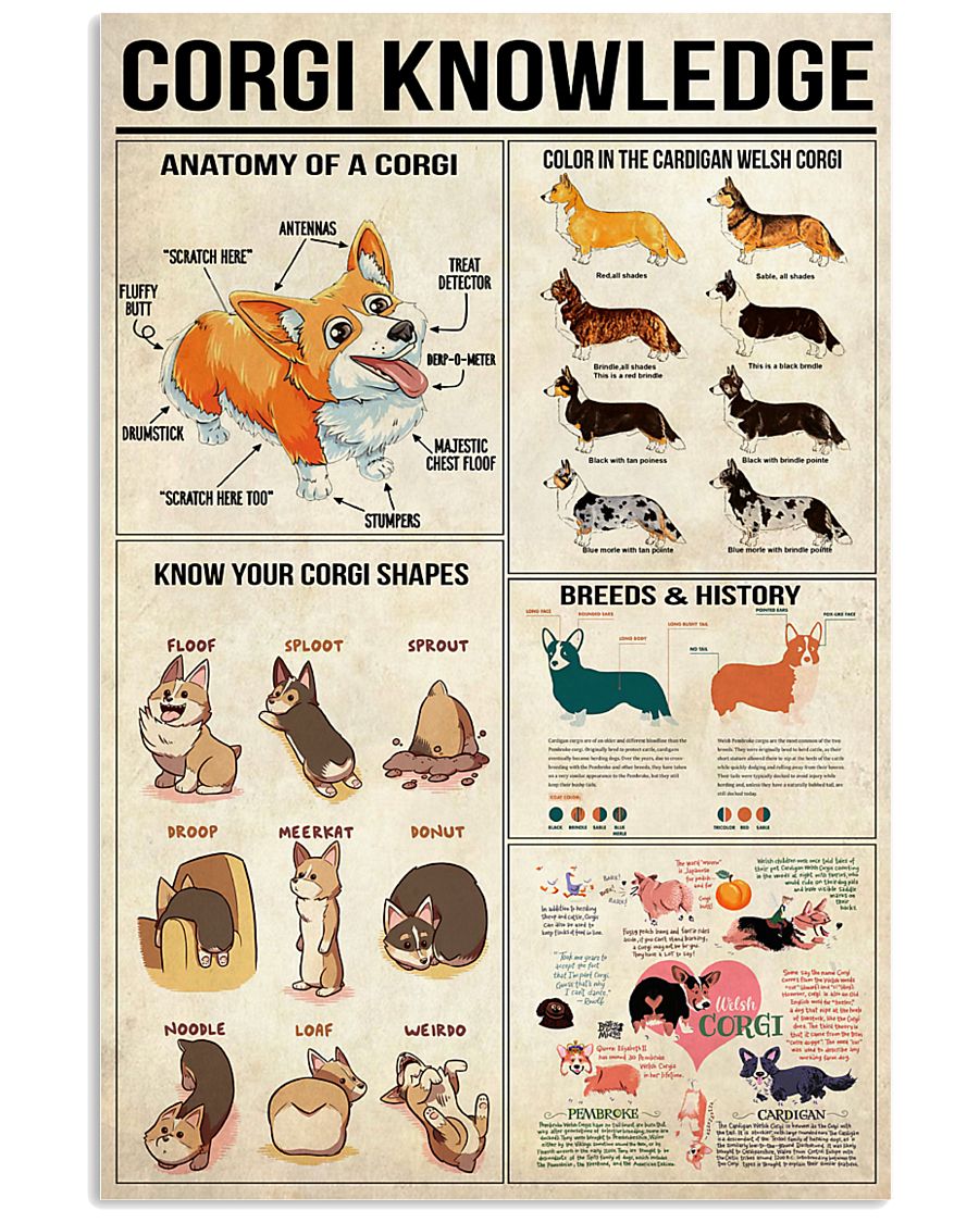 Corgi Knowledge 11x17 Poster