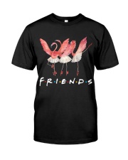 Ballet Friends Classic T-Shirt front
