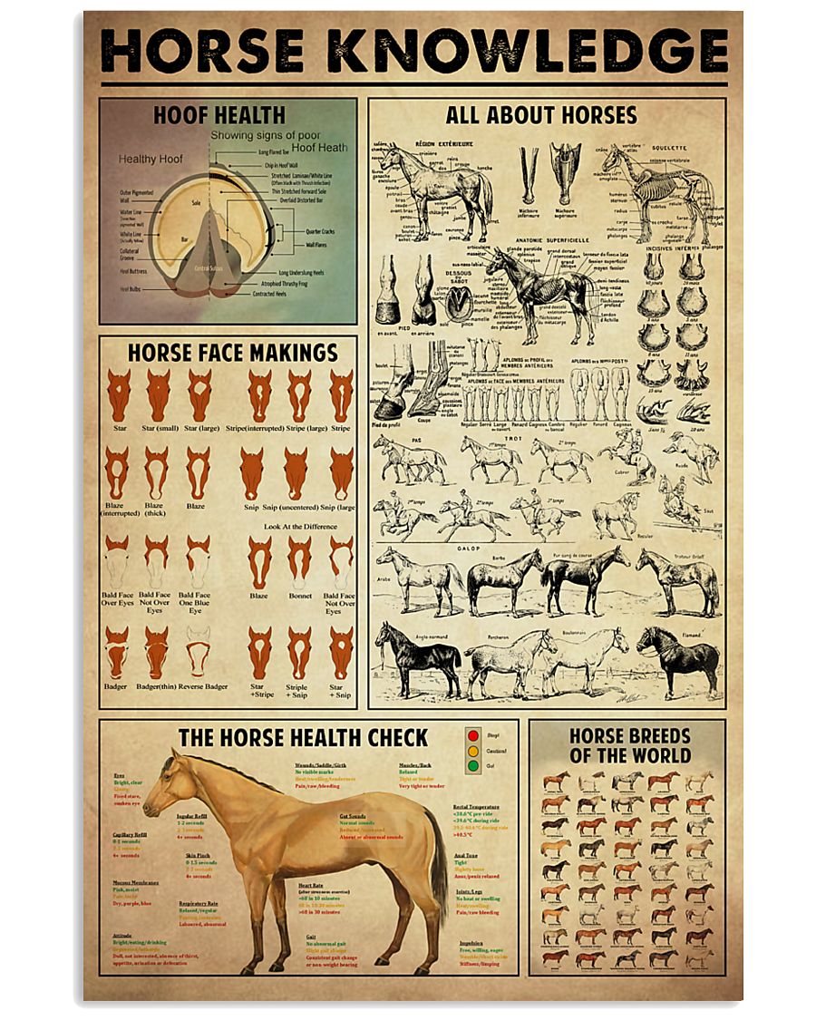 Horse Knowledge 11x17 Poster