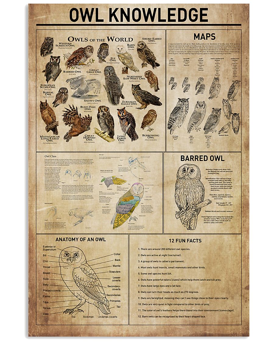 Owl Knowledge 11x17 Poster