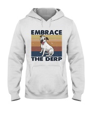 Embrace The Derp Hooded Sweatshirt thumbnail