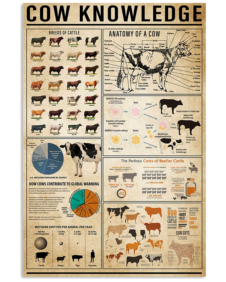 Cow Knowledge 11x17 Poster