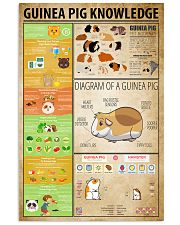 Guinea Pig Knowledge 11x17 Poster front