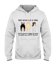 Money Can Buy A Lot Of Things Hooded Sweatshirt thumbnail