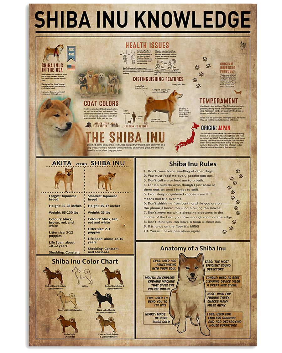 Shiba Inu Knowledge 11x17 Poster
