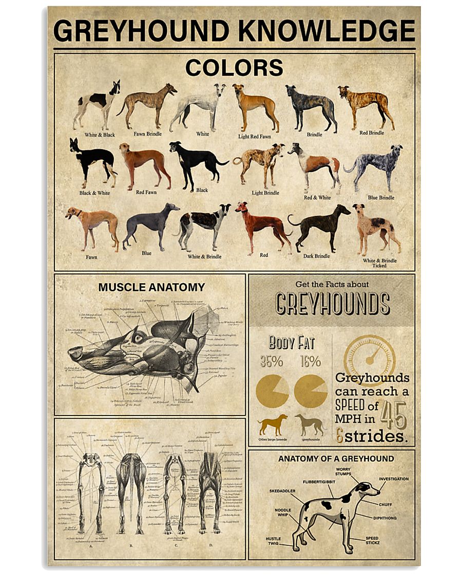 Greyhound Knowledge 11x17 Poster