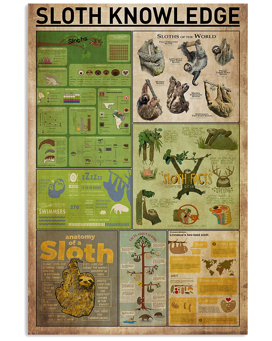 Sloth Knowledge 11x17 Poster
