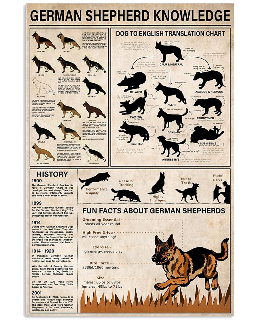 German Shepherd Knowledge 11x17 Poster