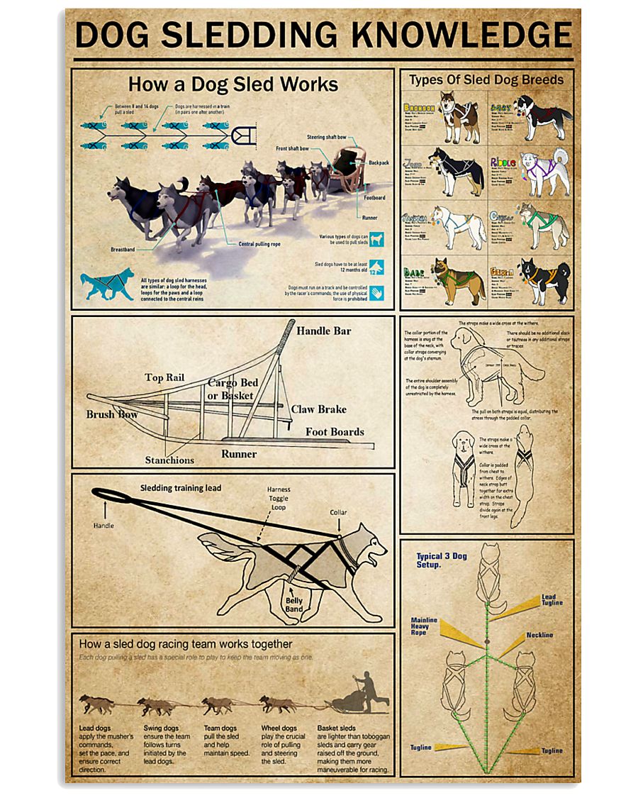 Dog Sledding Knowledge 11x17 Poster