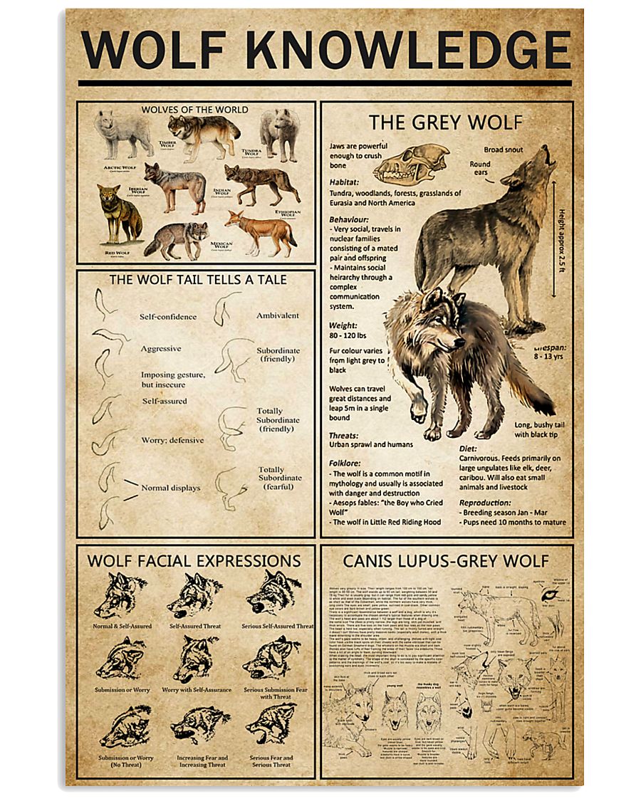 Wolf Knowledge 11x17 Poster