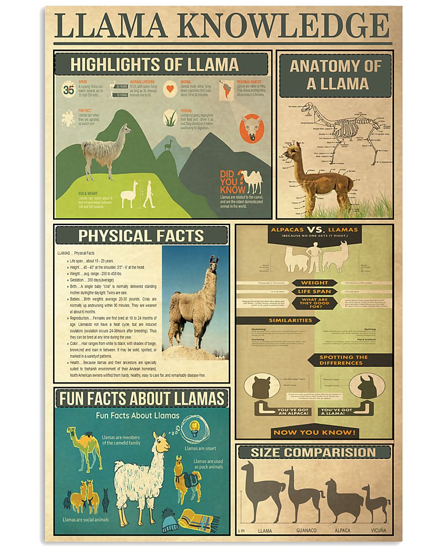Llama Knowledge 11x17 Poster