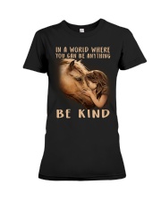 Be Kind In A World Premium Fit Ladies Tee thumbnail