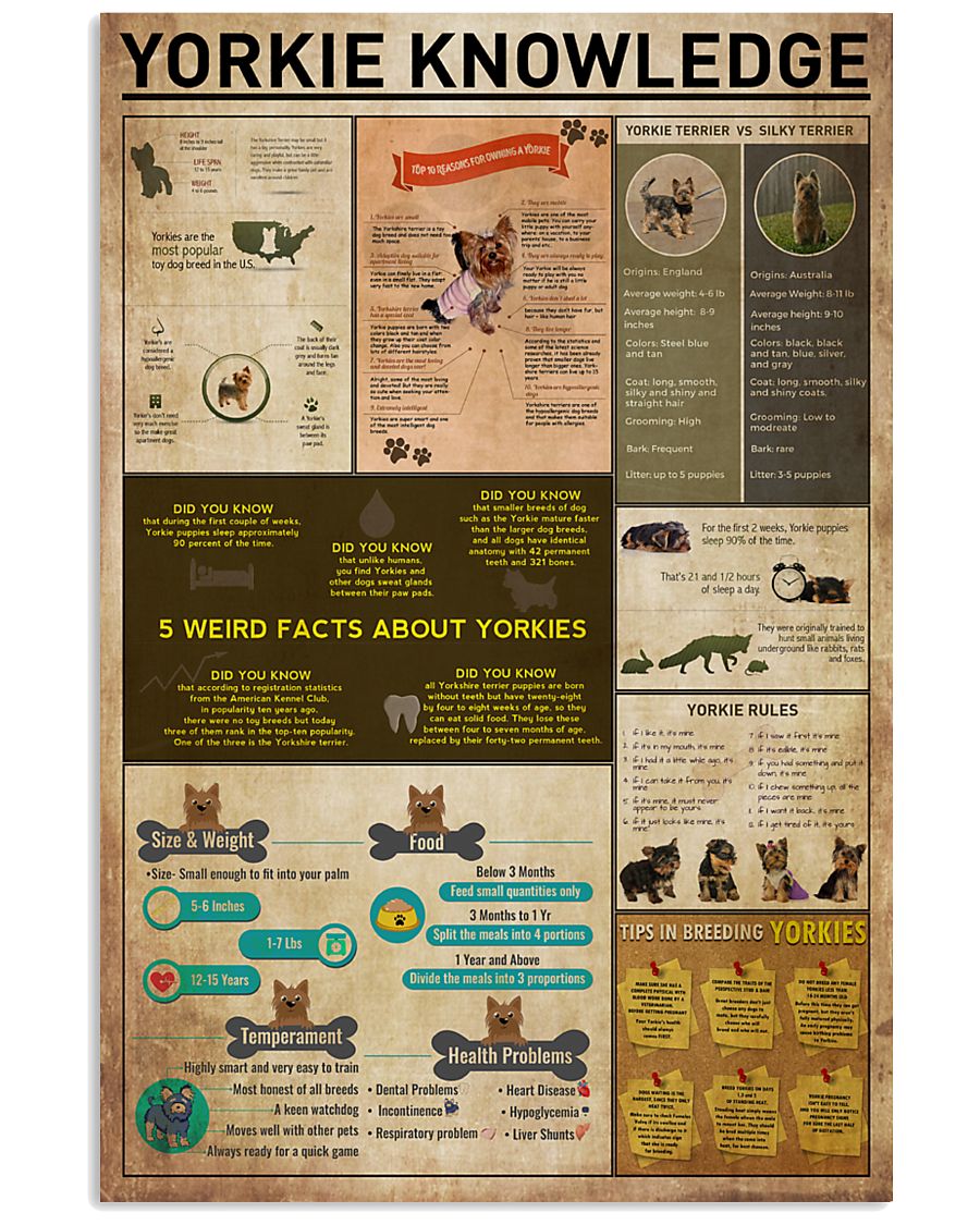 Yorkie Knowledge 11x17 Poster