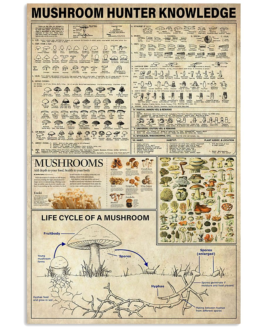 Mushroom Hunter Knowledge 11x17 Poster