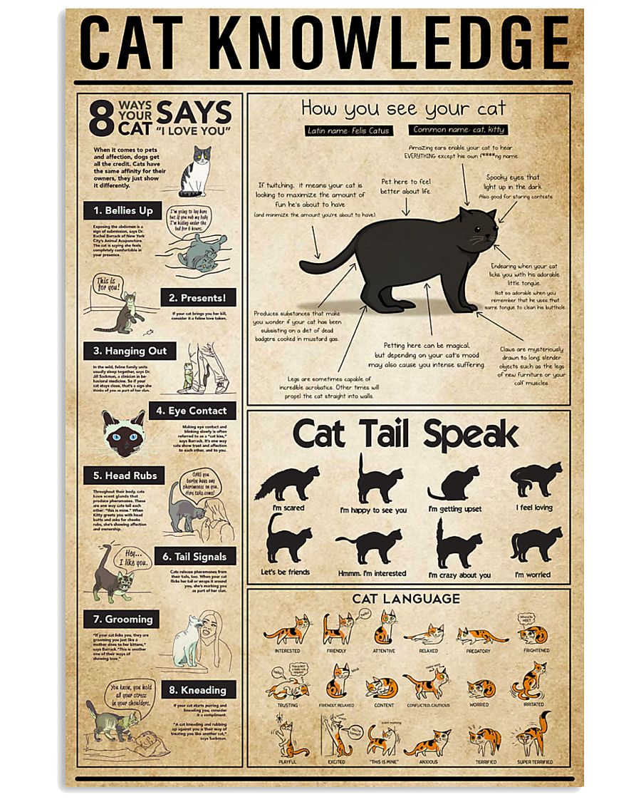 Cat Knowledge 11x17 Poster