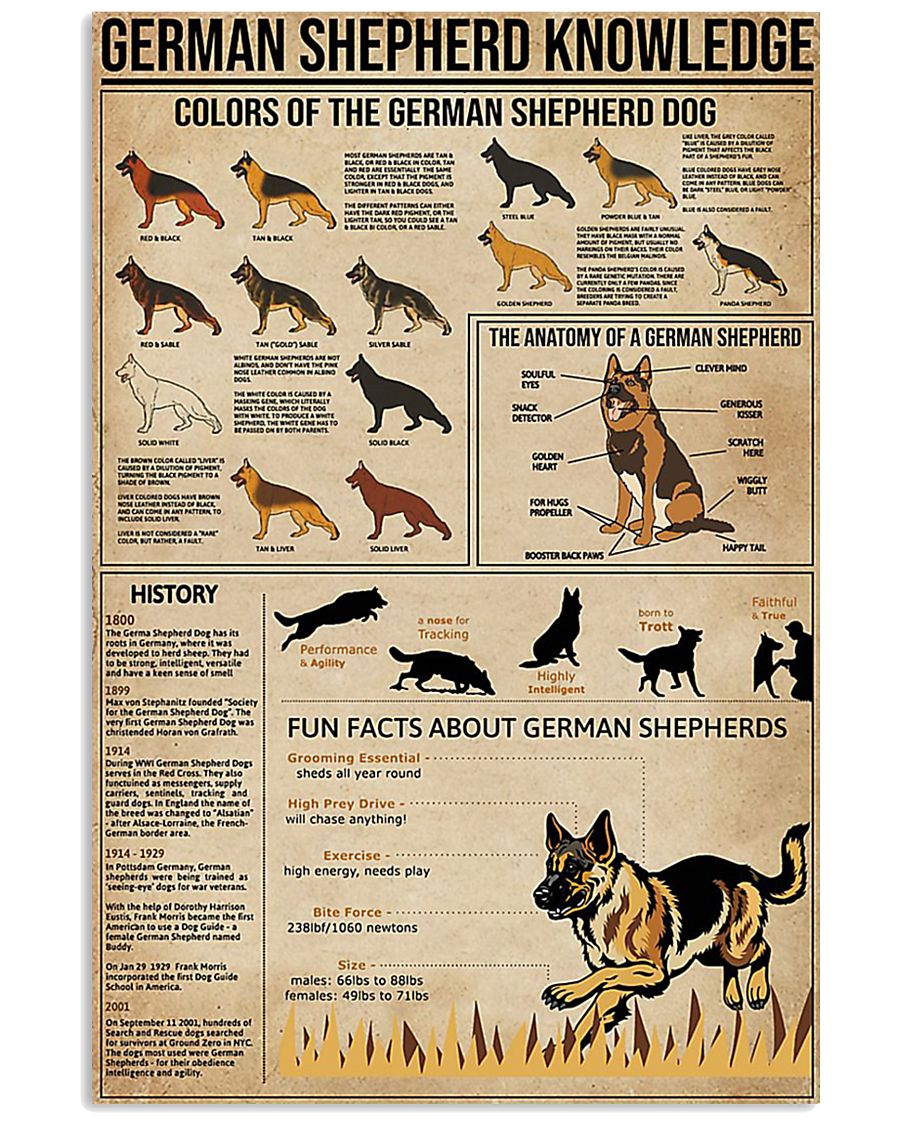 German shepherd knowledge Fun facts knowledge 11x17 Poster