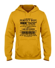 Special gift for wife - C00 Hooded Sweatshirt thumbnail