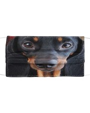 Dachshund 3D Cloth face mask front