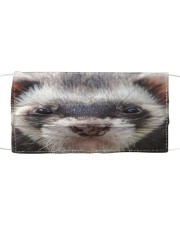 Ferret 3D Cloth face mask front