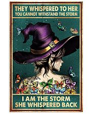 I Am The Storm 11x17 Poster front